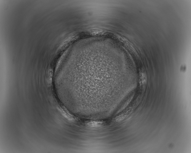 X0000097290664200802291752