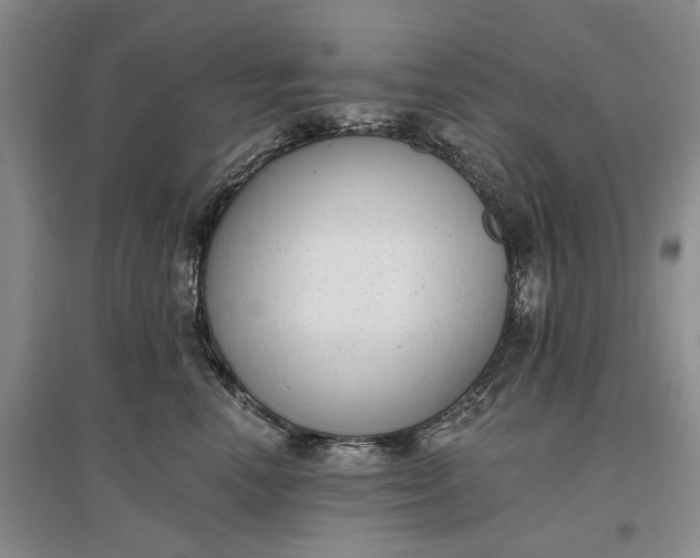 X0000097290666200802291752