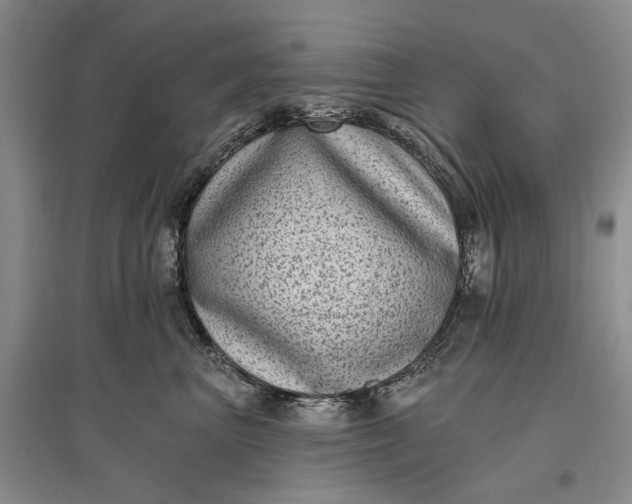 X0000097290667200802291752