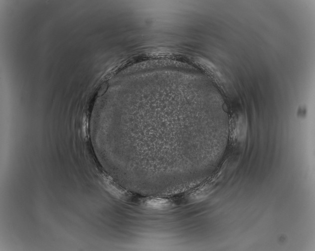 X0000097290669200802291752