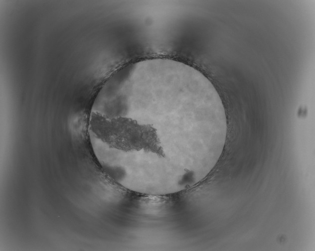 X0000097290672200802291752