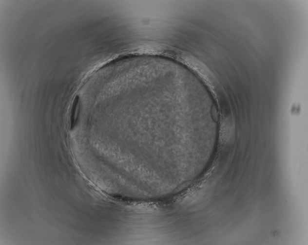X0000097290673200802291752