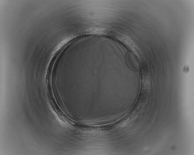 X0000097290674200802291752