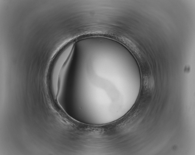 X0000097290676200802291752