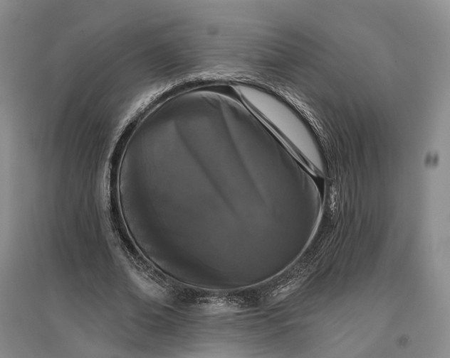 X0000097290678200802291752