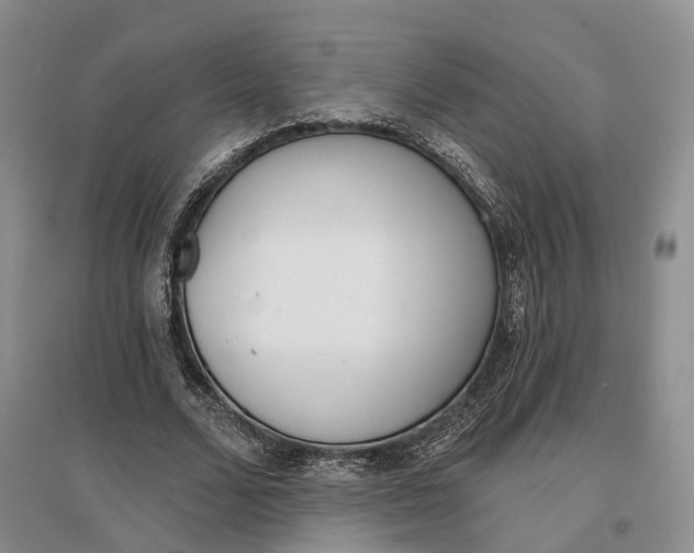 X0000097290680200802291751