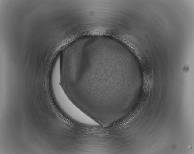 X0000097290681200802291751