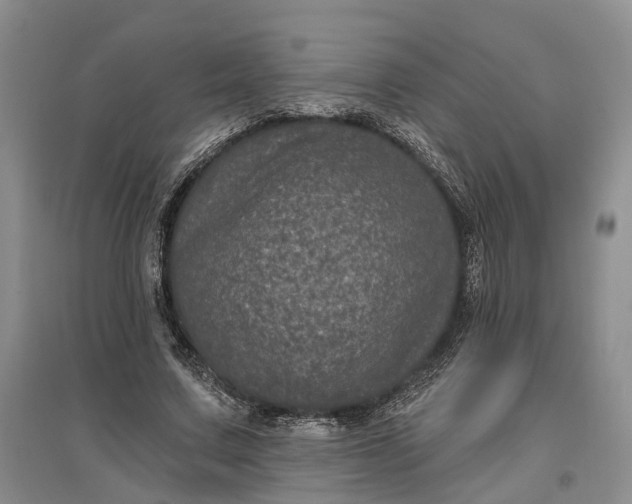 X0000097290683200802291751