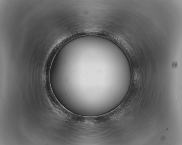 X0000097290684200802291751