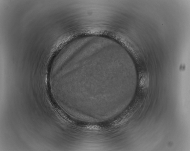 X0000097290685200802291751