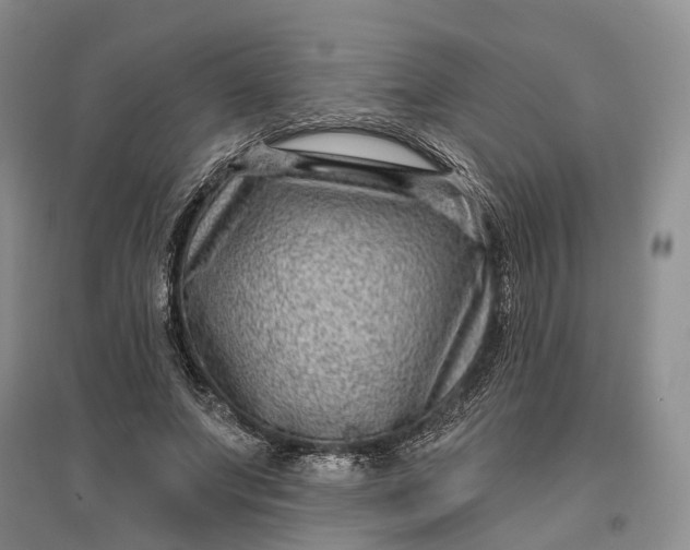X0000097290687200802291751