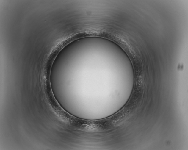 X0000097290688200802291751