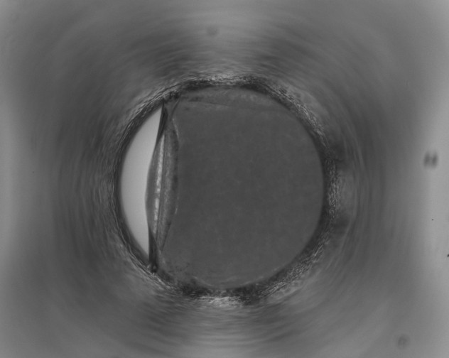 X0000097290689200802291751
