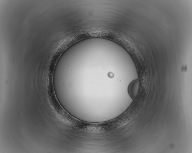 X0000097290690200802291751