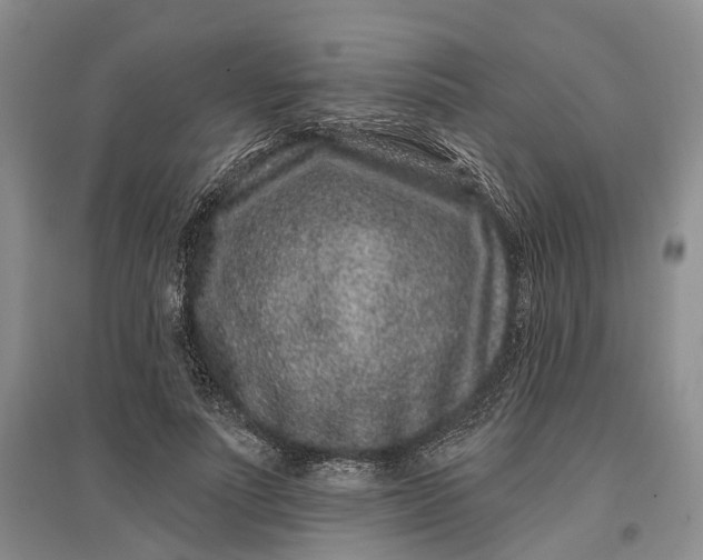 X0000097290691200802291751