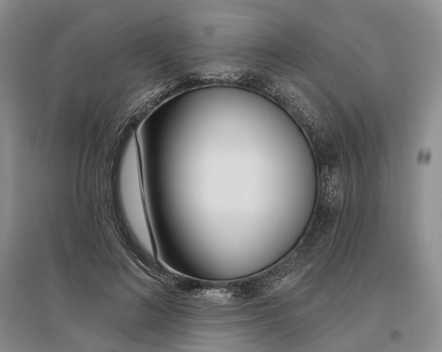 X0000097290692200802291751