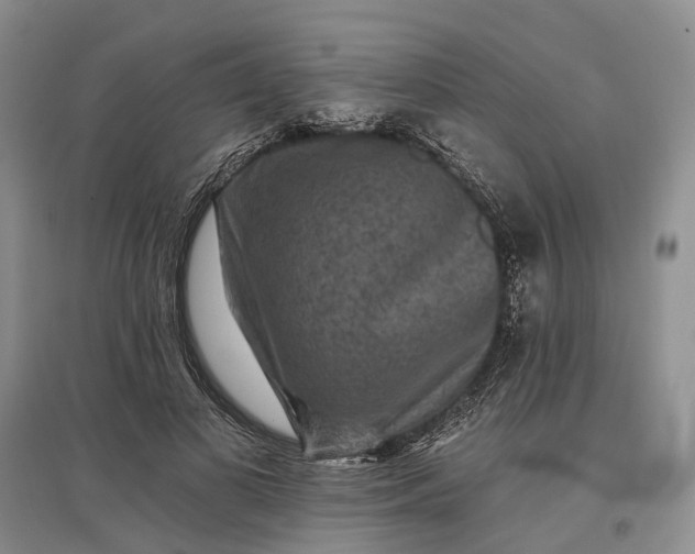 X0000097290693200802291751