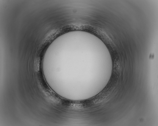 X0000097290694200802291751