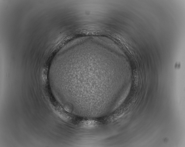 X0000097290695200802291751