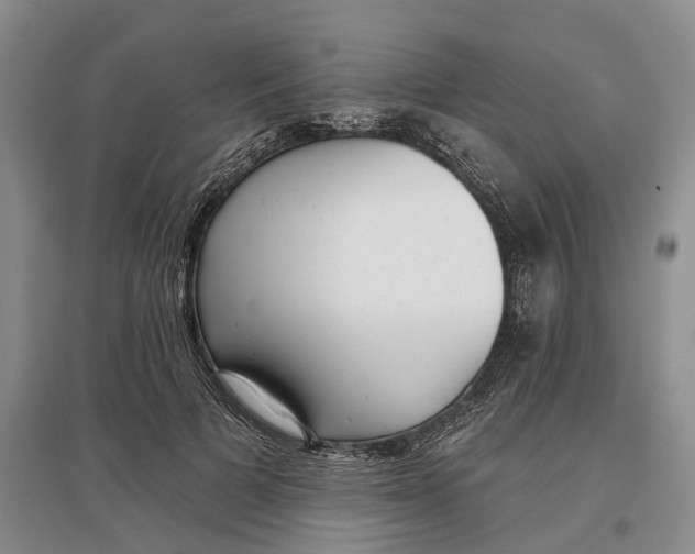 X0000097290697200802291751