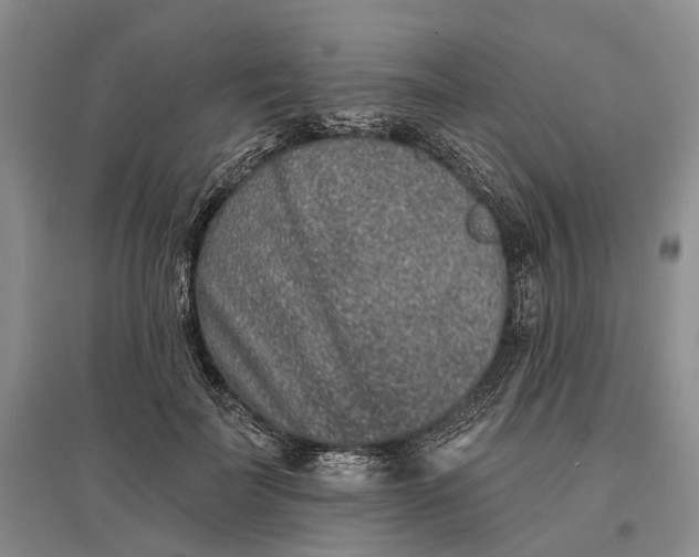 X0000097290699200802291751