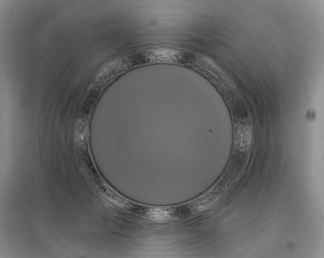 X0000097290701200802291751