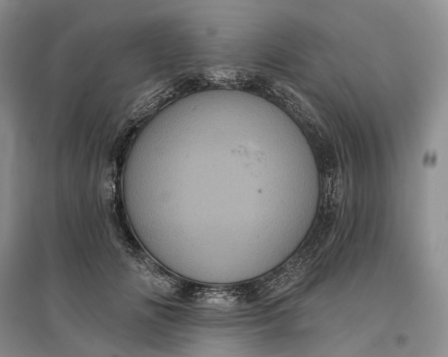 X0000097290702200802291751