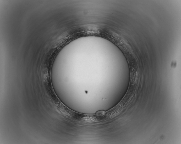 X0000097290704200802291751