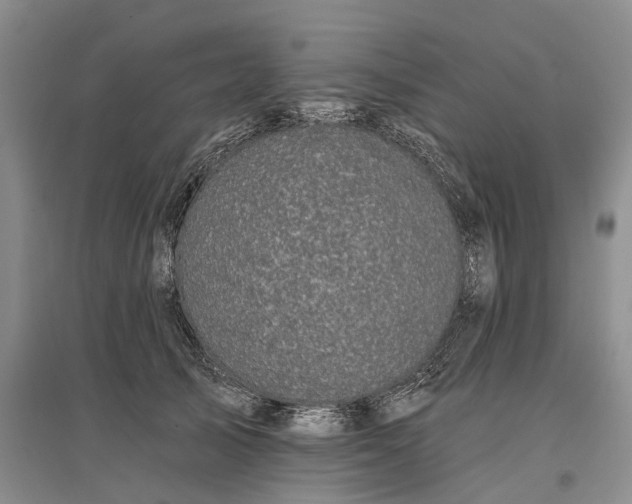 X0000097290705200802291751