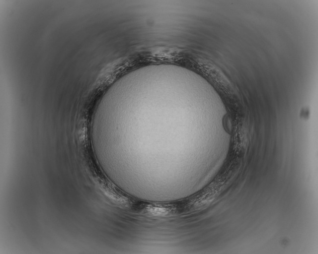 X0000097290706200802291751