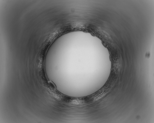 X0000097290708200802291751