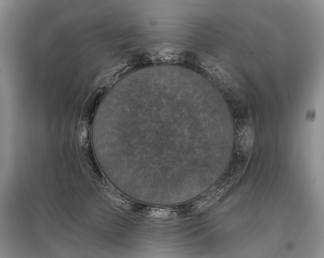 X0000097290709200802291751