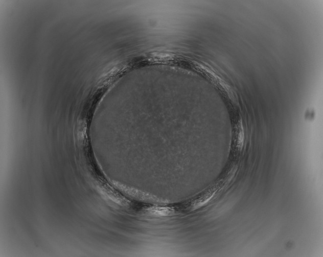 X0000097290711200802291751