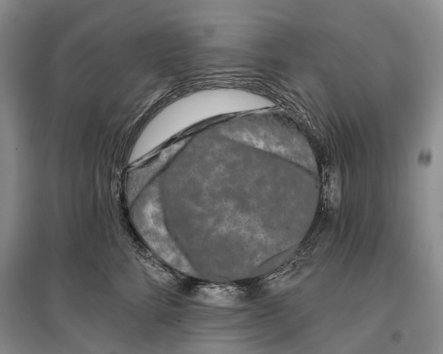 X0000097290712200802291751