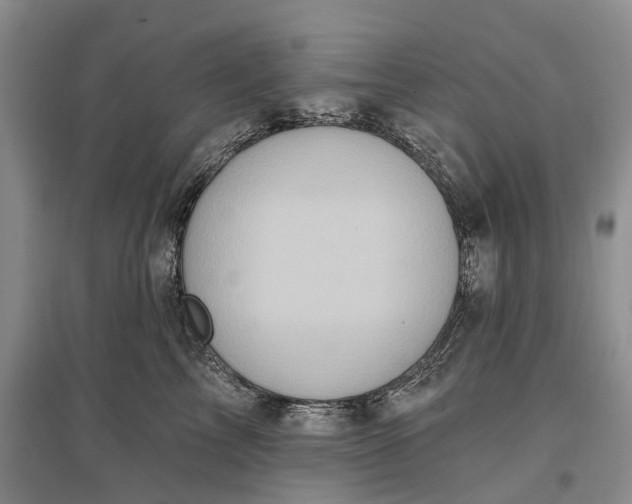 X0000097290713200802291751