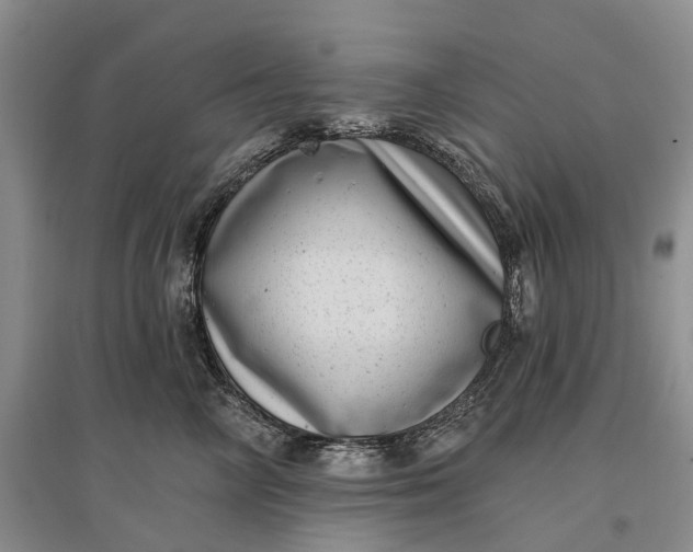X0000097290714200802291751