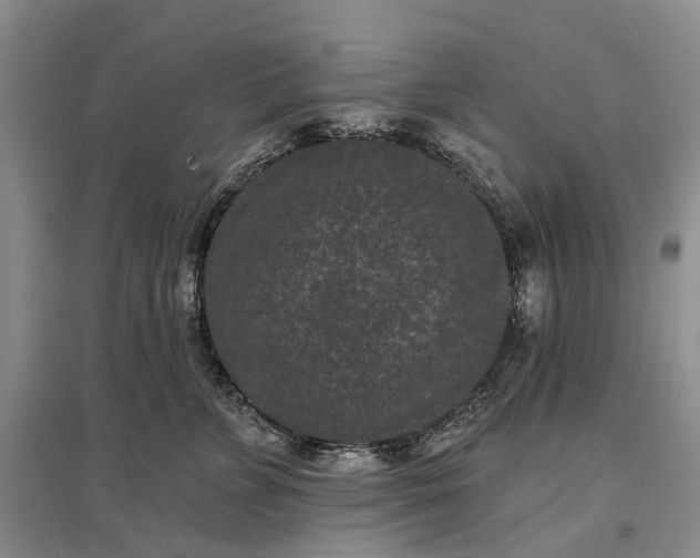 X0000097290715200802291751
