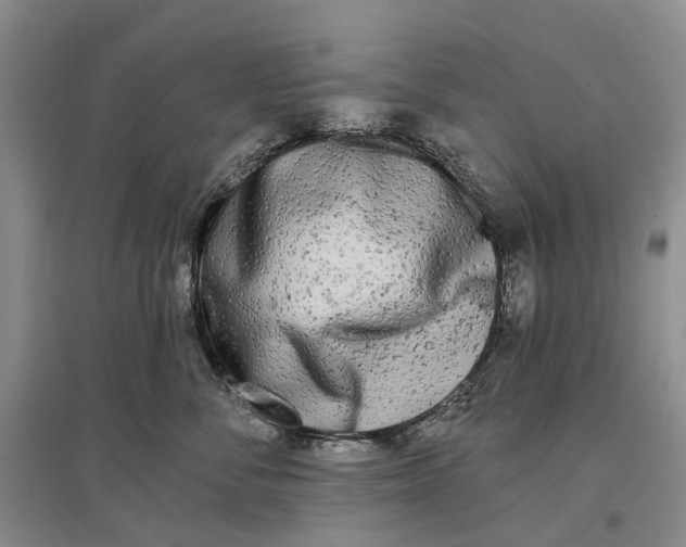 X0000097290716200802291751