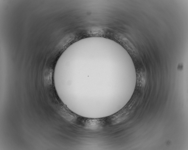 X0000097290717200802291751