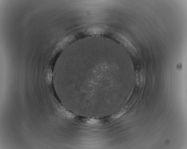 X0000097290718200802291751