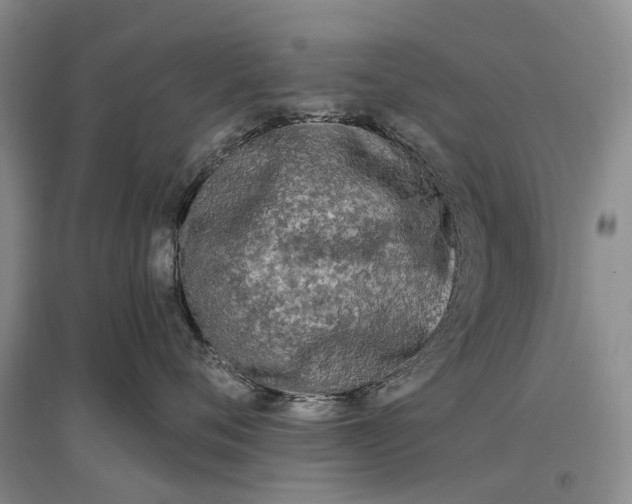 X0000097290720200802291751