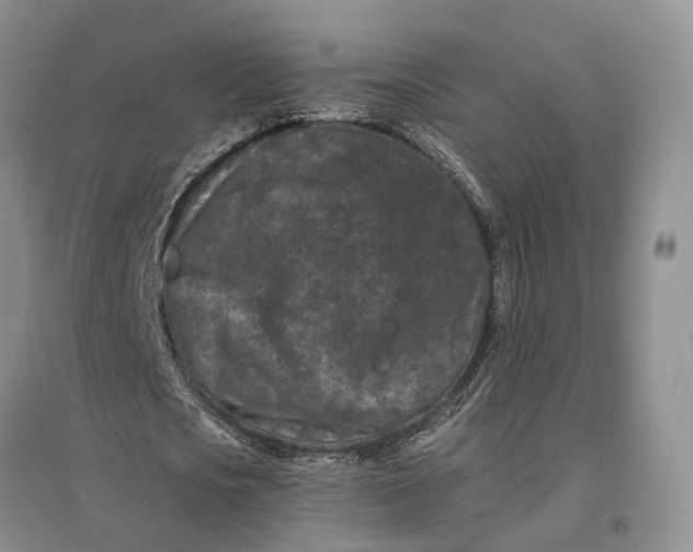 X0000097290721200802291750