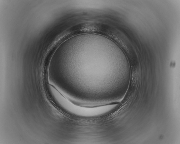 X0000097290722200802291750