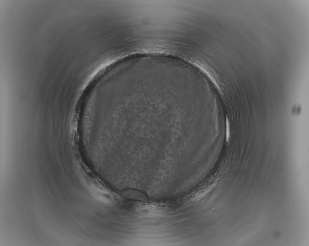 X0000097290723200802291750