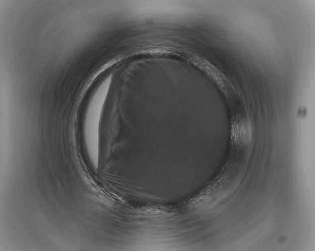 X0000097290724200802291750