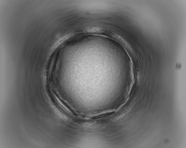 X0000097290725200802291750