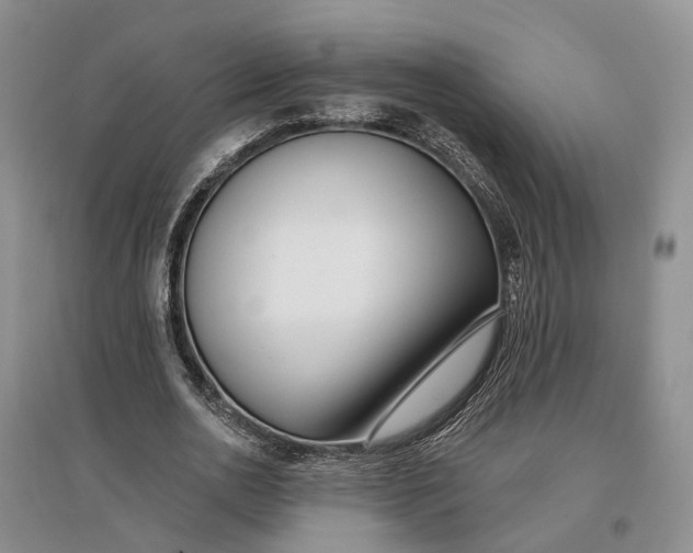 X0000097290726200802291750
