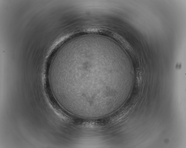 X0000097290728200802291750