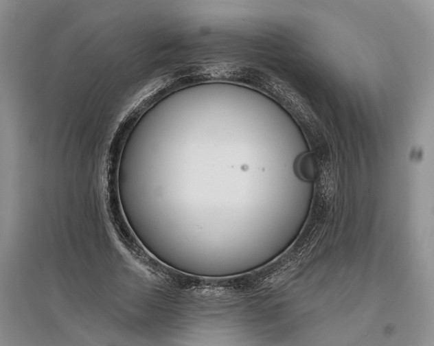 X0000097290730200802291750