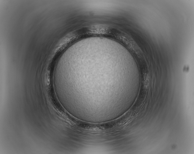 X0000097290731200802291750